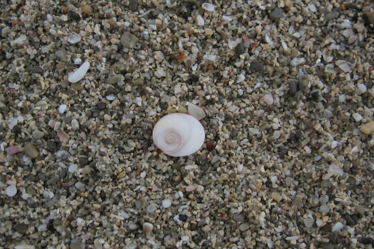 Part de darrera d'una Pedra de Santa Llúcia