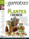 Dossier: Plantes i remeis