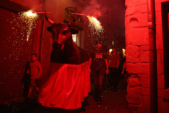 El bou durant la Baixada