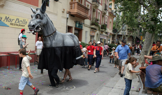 Ruc de La Granada