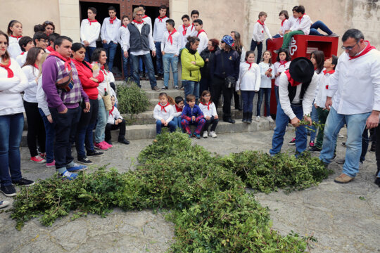 La creu de mata o murta