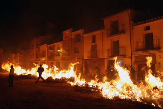 Les fogueres d'argelaga s'encenen...