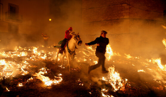 Festa de Sant Antoni a Vilanova d'Alcolea