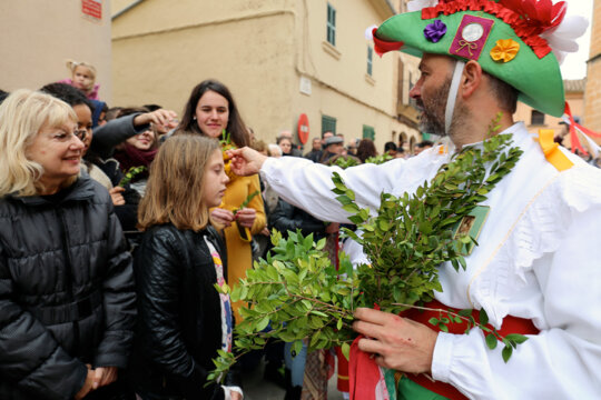 Repartiment de murta