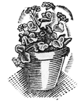 Mostres, concursos i exposicions de flors