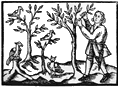 Festes de l'oli nou