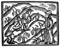 Festes de la Verema