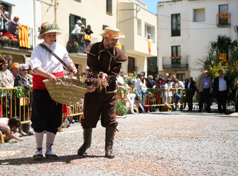 La Sembra de Pinyons de Cabanes