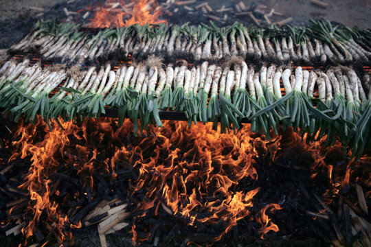 Els calçots a les flames
