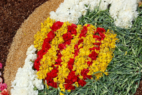 Els colors de la senyera. Foto: Susanna Ginesta