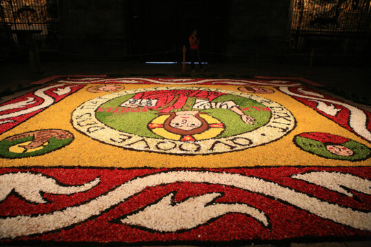 Catifa amb ginesta a la Catedral de Girona