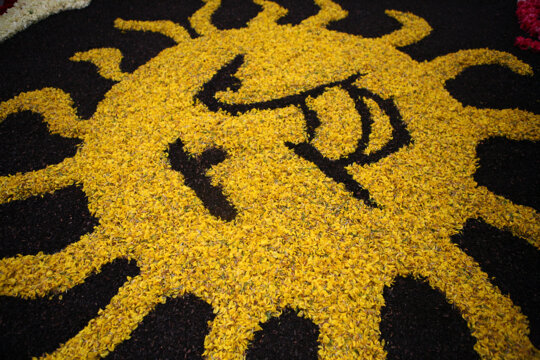 Catifa a La Garriga