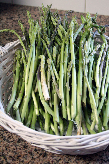 Manat d'espàrgols de marge