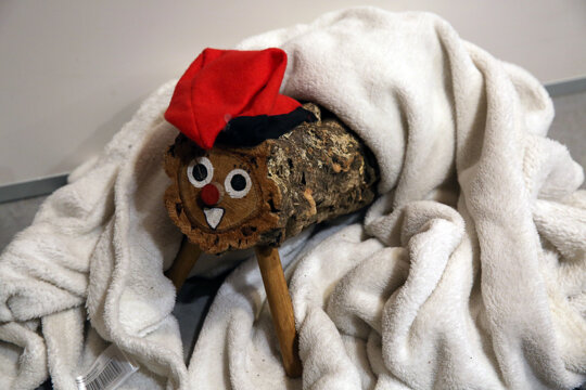 Tió amb cara i barretina