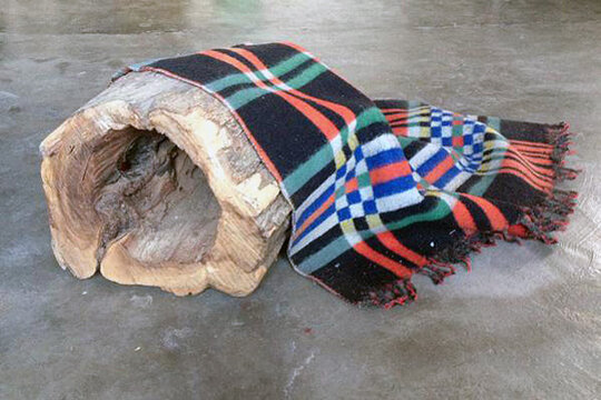 El tió és una soca vella d'arbre i acostuma a tenir forat(s)