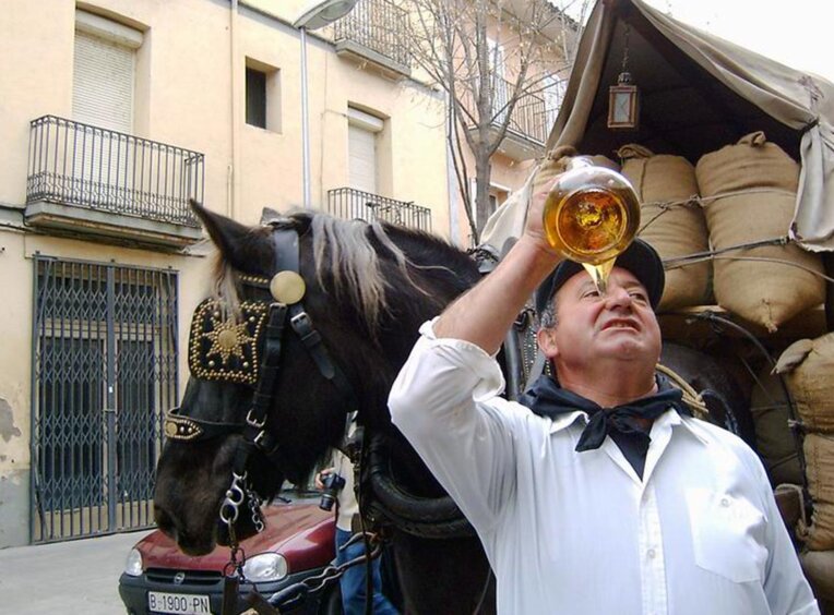 Festa dels Tonis de Manlleu