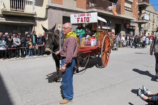 Carro del fato