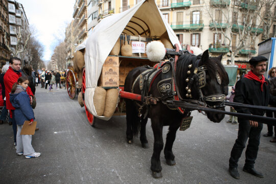 Carro participant