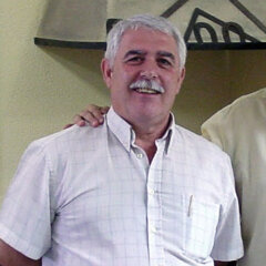 Vicent Navarro i Tomàs