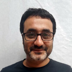 Vicent Pallarés Pascual